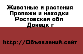 Животные и растения Пропажи и находки. Ростовская обл.,Донецк г.